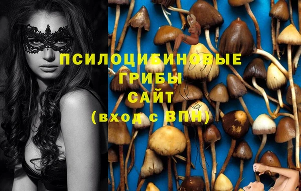 спайс Белокуриха