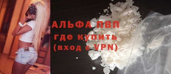 шишки Белоозёрский