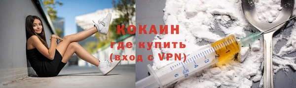 шишки Белоозёрский