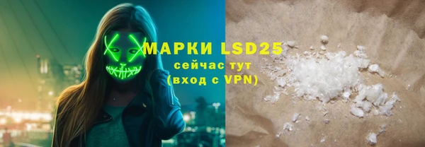 шишки Белоозёрский