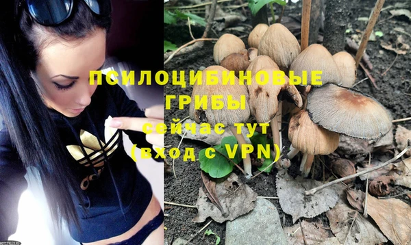 шишки Белоозёрский