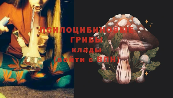 спайс Белокуриха
