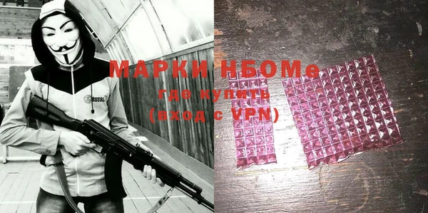 шишки Белоозёрский