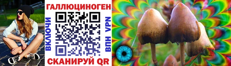 Галлюциногенные грибы MAGIC MUSHROOMS  Чёрмоз 
